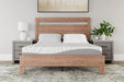 8 Inch Memory Foam Queen Mattress - M59131 - In Stock Furniture