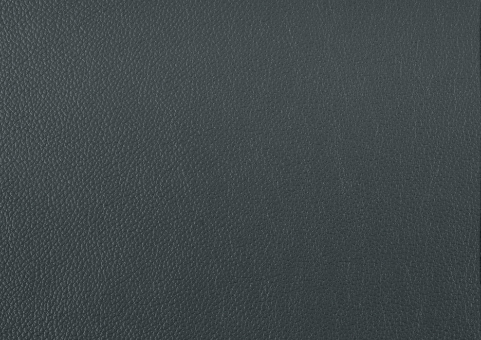 Mischa Dark Gray Top-Grain Leather Living Room Set