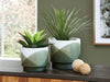 Ardenridge Planter (Set of 2) - A2000579