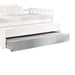 Cominia Trundle - 39083 - In Stock Furniture