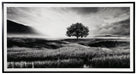 Deborland Wall Art - A8000341 - In Stock Furniture