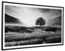 Deborland Wall Art - A8000341 - In Stock Furniture
