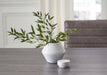 Domina Jar - A2000484J - In Stock Furniture