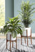 Dorcey White/Brown Planter (Set of 2) - A2000427 - Gate Furniture