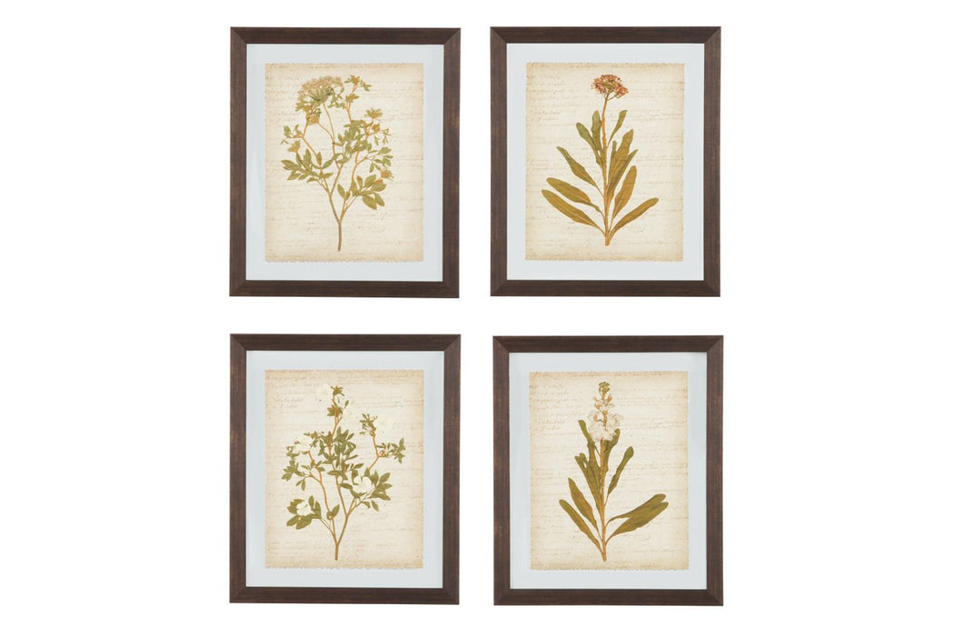 Dyani Multi Wall Art (Set of 4) - A8000198 - Gate Furniture