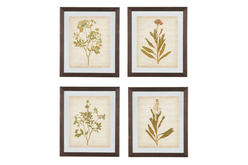Dyani Multi Wall Art (Set of 4) - A8000198 - Gate Furniture