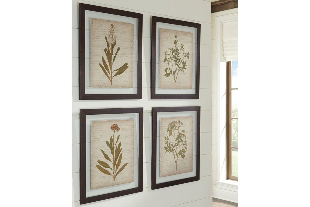 Dyani Multi Wall Art (Set of 4) - A8000198 - Gate Furniture