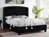 Eva Black Upholstered Queen Bed - Gate Furniture
