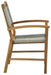 Janiyah Outdoor Dining Arm Chair (Set of 2) - P407-602A - In Stock Furniture