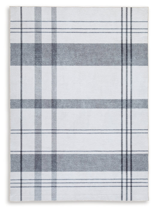 Kaidlow Medium Rug - R405912