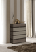 Leo Dresser/Chest/Mirror Set - In Stock Furniture