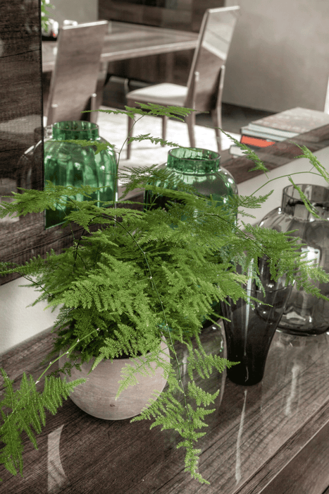 Medea Dining Room Set - Gate Furniture