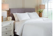 Ryter White Twin Coverlet Set - Q721001T - Gate Furniture