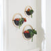 Tobins Wall Planter (Set of 3) - A8010374 - In Stock Furniture