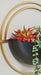 Tobins Wall Planter (Set of 3) - A8010374 - In Stock Furniture