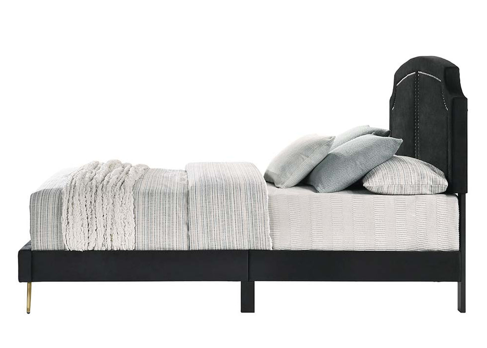 Zeena Queen Bed - BD01176Q - In Stock Furniture